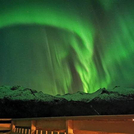 סבולבאר Unique And Charming House At The Foot Of Lofoten'S Highest Mountain מראה חיצוני תמונה