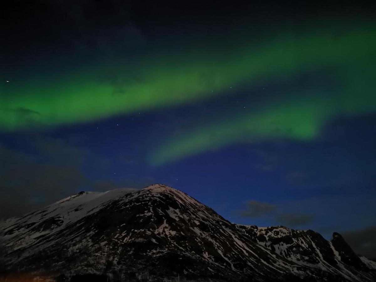 סבולבאר Unique And Charming House At The Foot Of Lofoten'S Highest Mountain מראה חיצוני תמונה